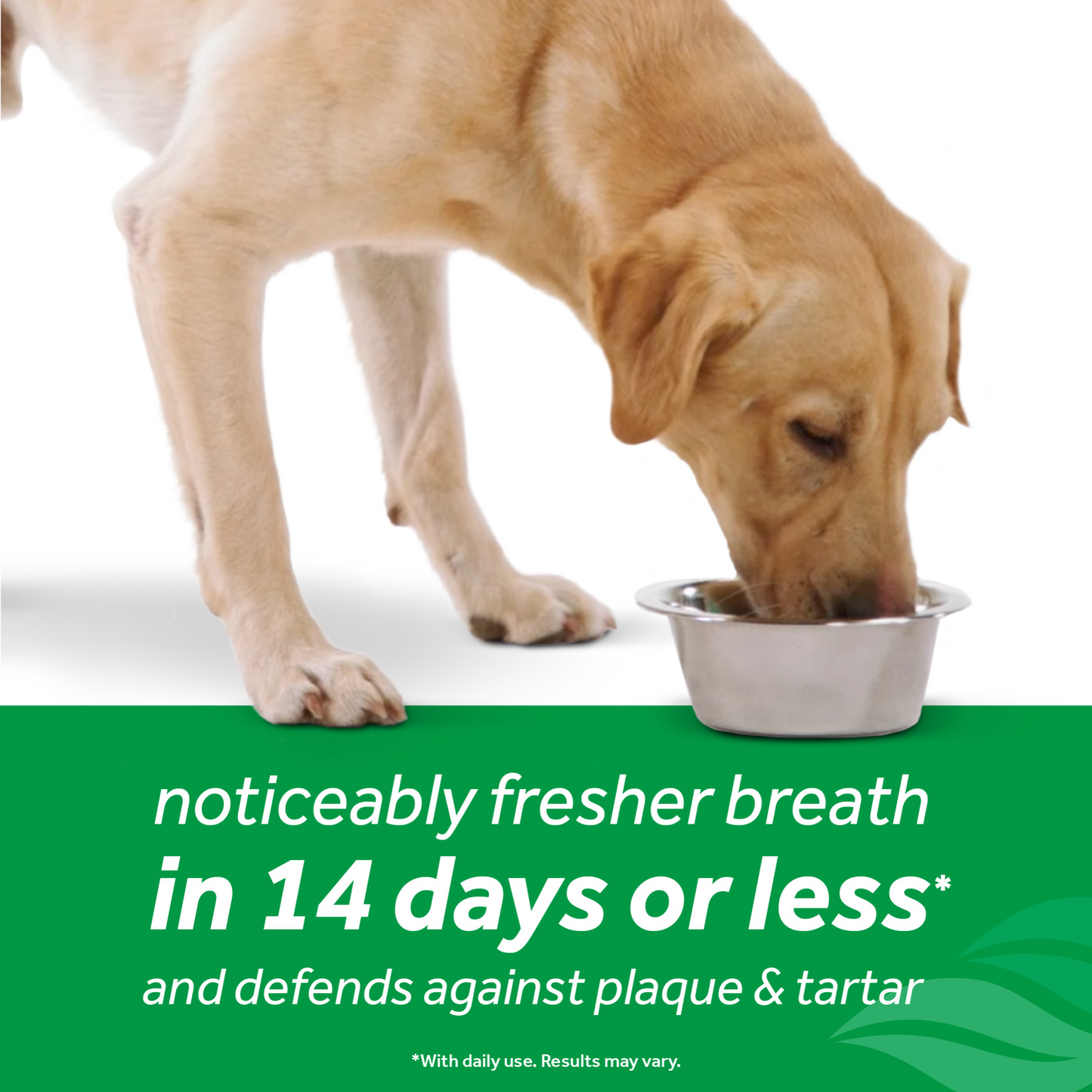 TropiClean - Solución de Salud Dental Para Control de Placa, Sarro y una Piel Sana para Perro.