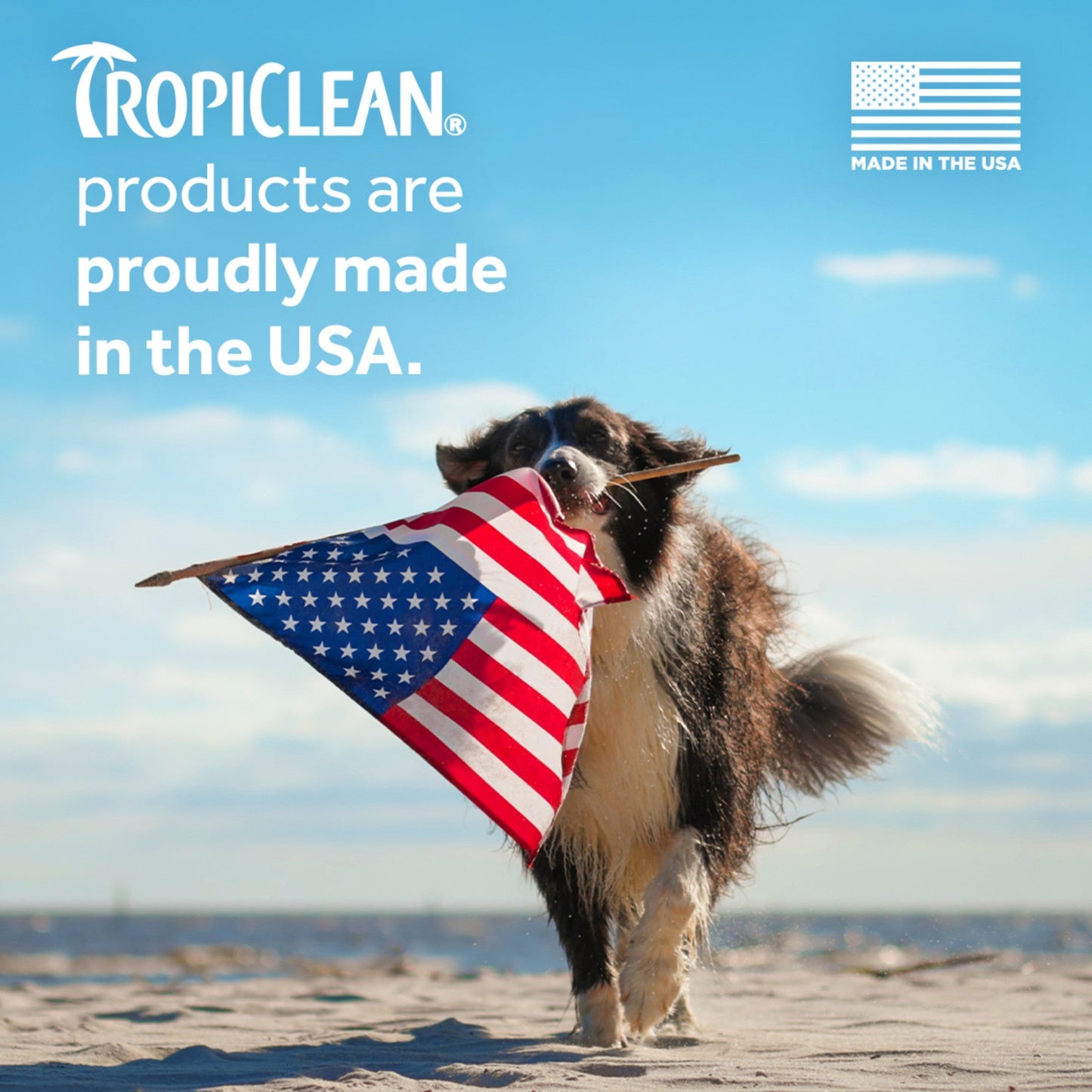 Tropiclean® Shampoo Hipoalergénico de Coco suave para Cachorros y Gatitos.