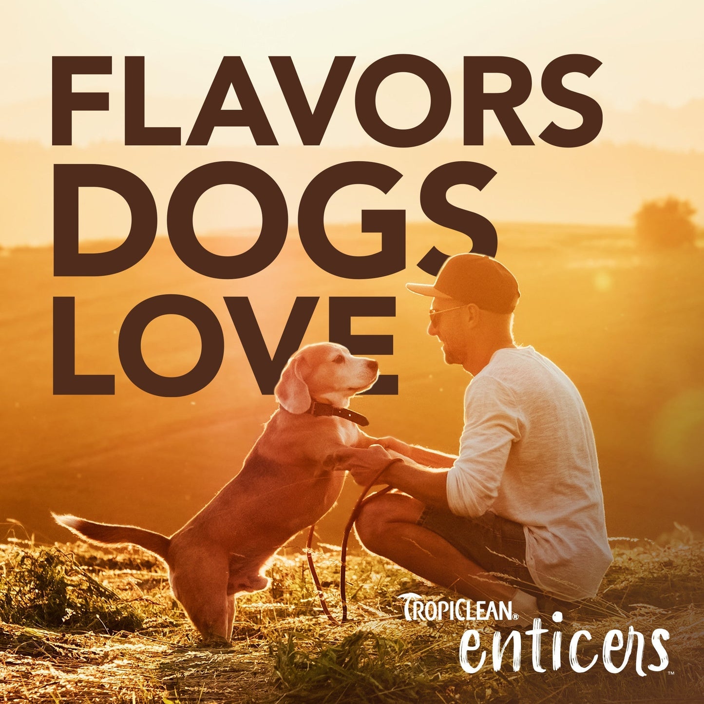 ¡SUPER PROMOCIÓN! - Control de Placa y Sarro para Perros. - ENTICERS Sabor Pollo 2 oz