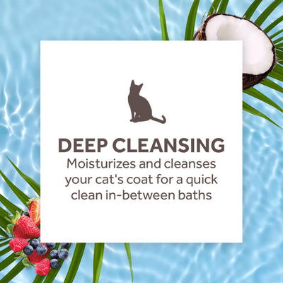 Tropiclean® Shampoo limpieza profunda sin agua de Bayas y Coco para Gatos.